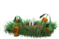 conill imatges-animades-gif